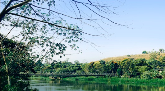 Dia Mundial do Meio Ambiente: Investir bem é investir para durar